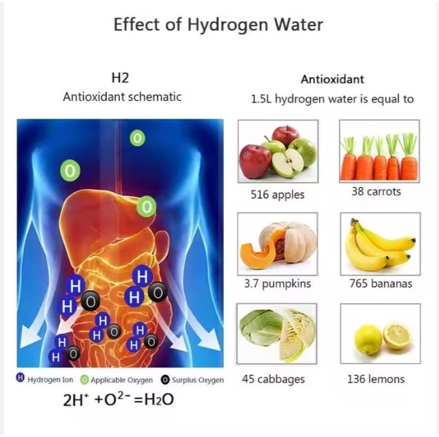 Hydrogen Water Bottle – Dual Chamber Hydrogen & Oxygen Generator