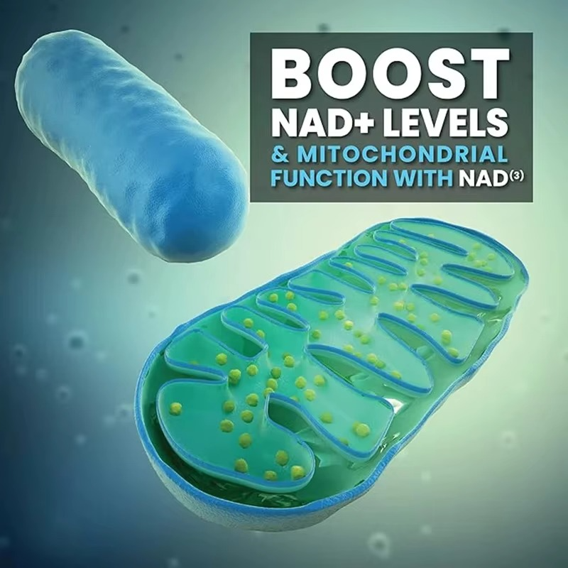 NAD+Nicotinamide Riboside Resveratrol
