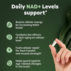 NAD+Nicotinamide Riboside Resveratrol