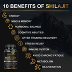 Pure Shilajit